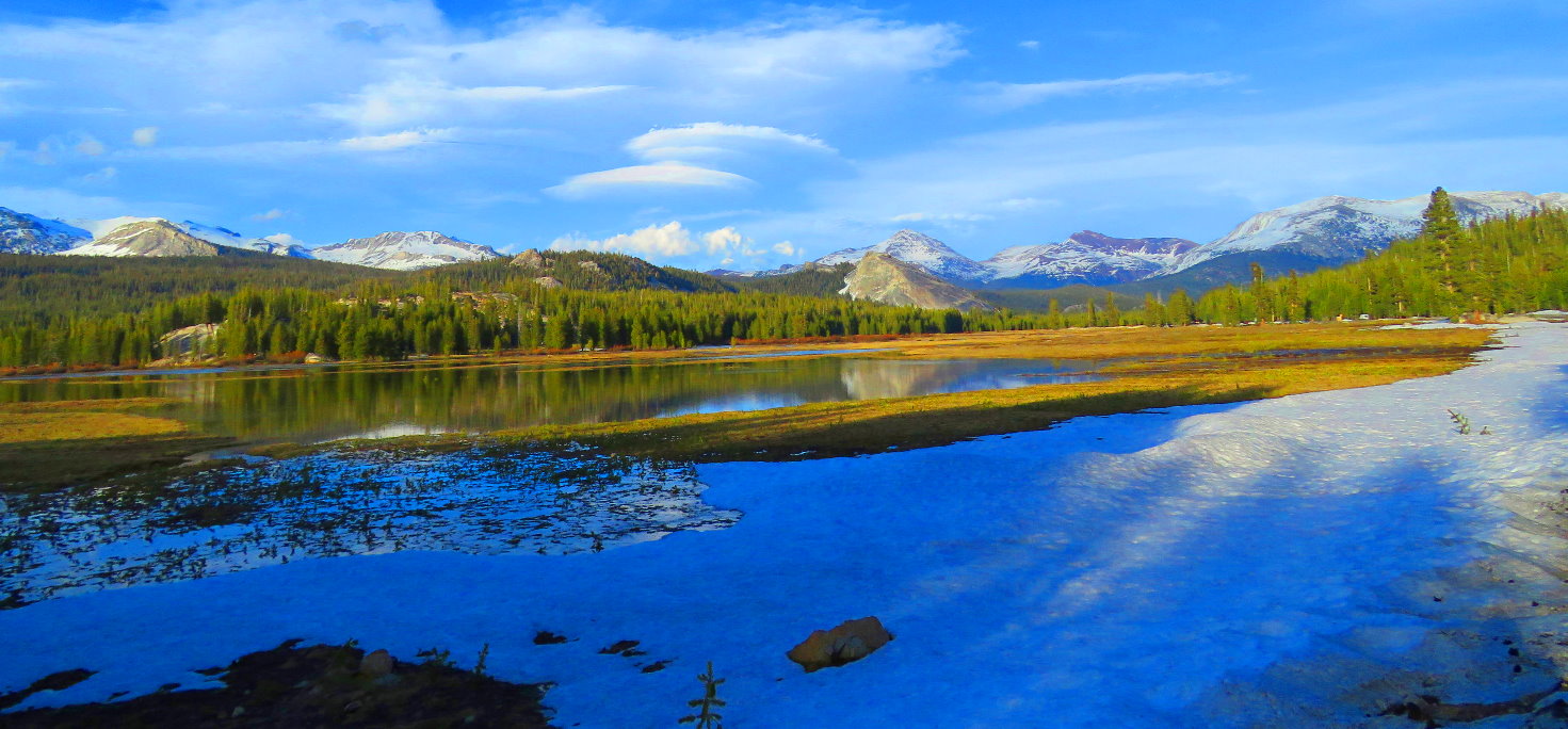 Yosemite National Park  High Country Visit California's High Sierra